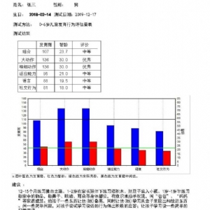 0岁～6岁儿童发育行为评估量表(儿心量表-‖) 评估系统